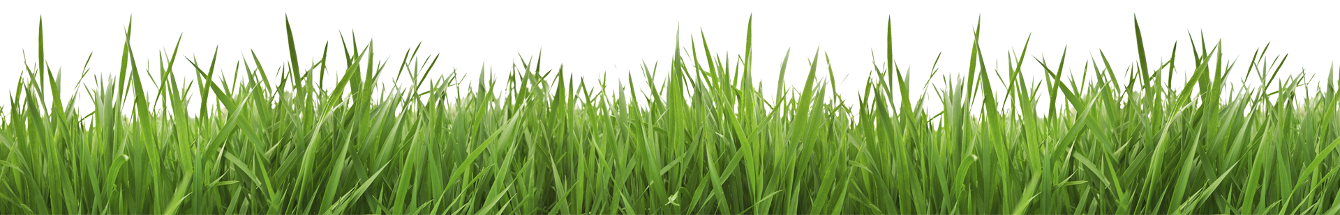 Go Green Heaven