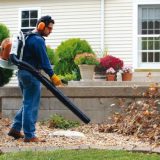 Leaf Removal