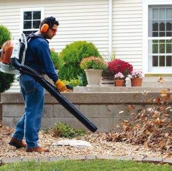 Leaf Removal
